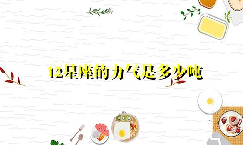 12星座的力气是多少吨