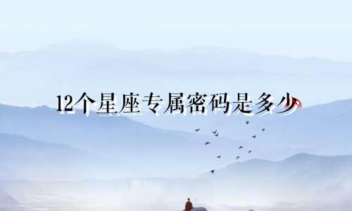 12个星座专属密码是多少