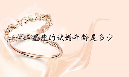 十二星座的试婚年龄是多少