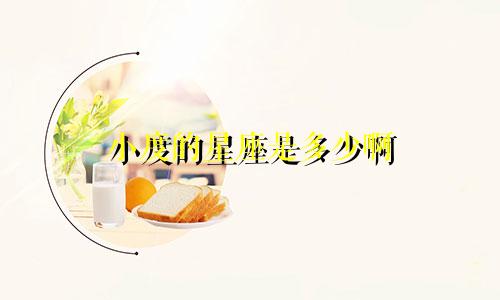 小度的星座是多少啊