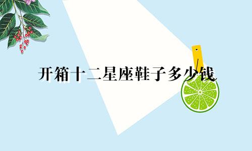 开箱十二星座鞋子多少钱