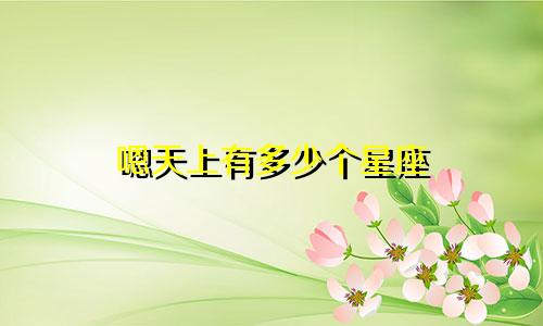 嗯天上有多少个星座