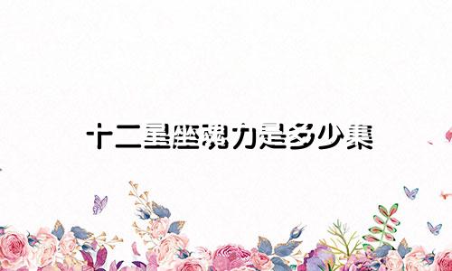 十二星座魂力是多少集