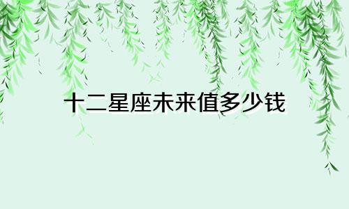 十二星座未来值多少钱