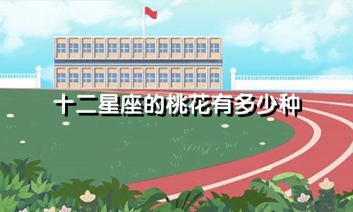 十二星座的桃花有多少种
