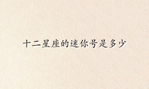 十二星座的迷你号是多少