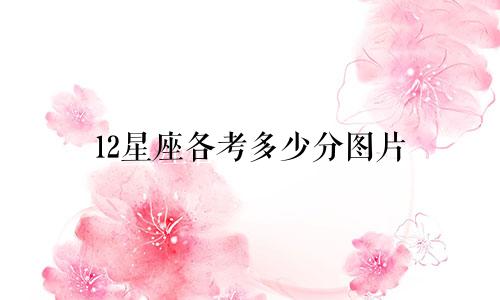 12星座各考多少分图片