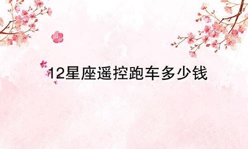 12星座遥控跑车多少钱