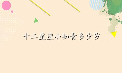 十二星座小知青多少岁