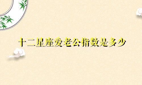 十二星座爱老公指数是多少