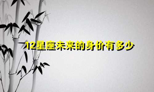 12星座未来的身价有多少