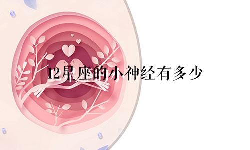 12星座的小神经有多少