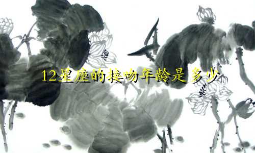 12星座的接吻年龄是多少