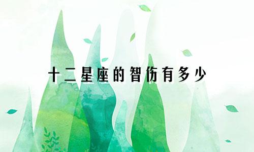 十二星座的智伤有多少