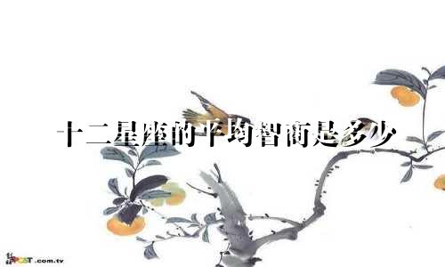 十二星座的平均智商是多少