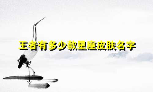 王者有多少款星座皮肤名字