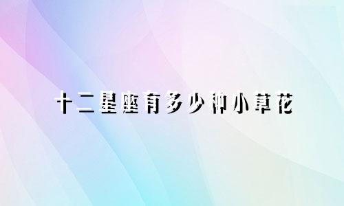 12星座打折衣服多少钱