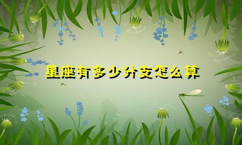 星座有多少分支怎么算