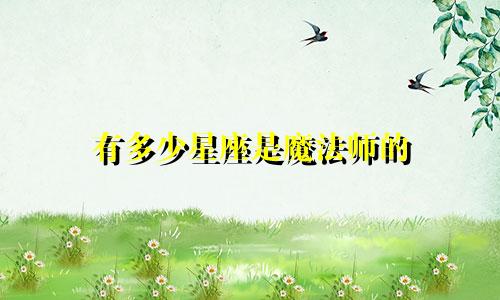 有多少星座是魔法师的