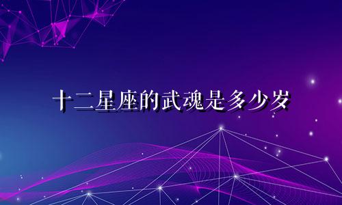 十二星座的武魂是多少岁