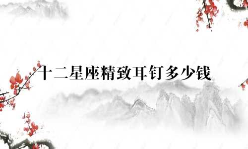 十二星座精致耳钉多少钱