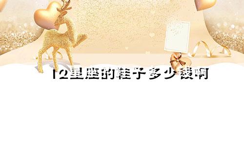 12星座的鞋子多少钱啊