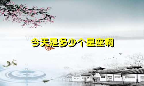 今天是多少个星座啊