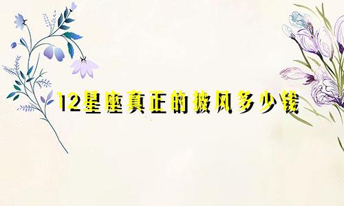 12星座真正的披风多少钱