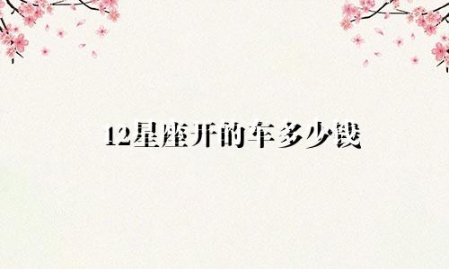 12星座开的车多少钱