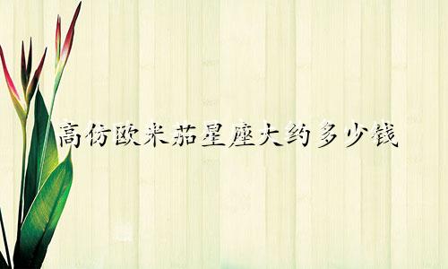 高仿欧米茄星座大约多少钱