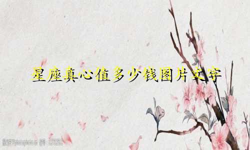 星座真心值多少钱图片文字