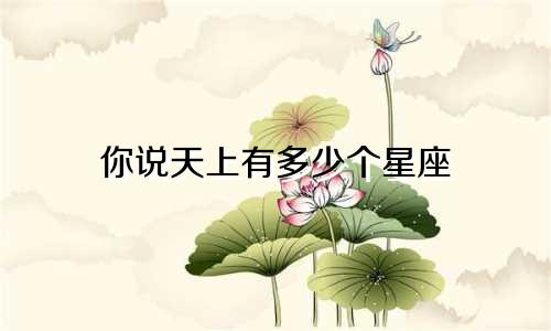 你说天上有多少个星座
