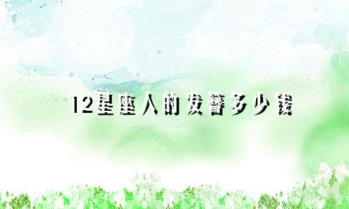 12星座人的发簪多少钱