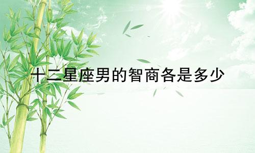 十二星座男的智商各是多少