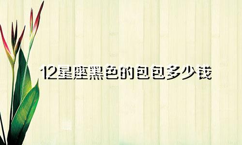 12星座黑色的包包多少钱