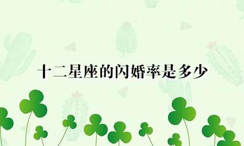 十二星座的闪婚率是多少