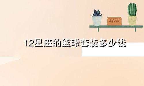 12星座的篮球套装多少钱
