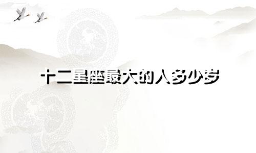 十二星座最大的人多少岁
