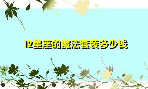 12星座的魔法套装多少钱