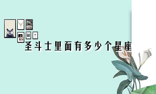 圣斗士里面有多少个星座