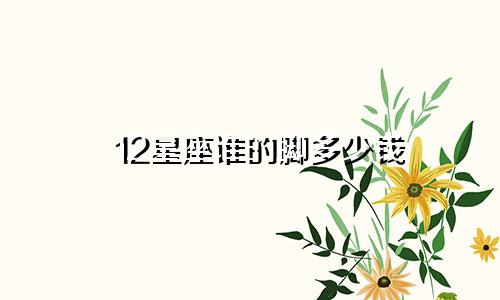 12星座谁的脚多少钱