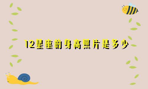 12星座的身高照片是多少