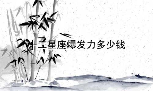 十二星座爆发力多少钱