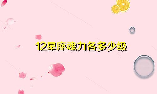 12星座魂力各多少级