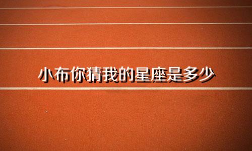 小布你猜我的星座是多少