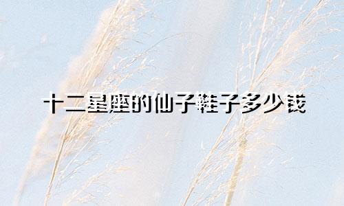十二星座的仙子鞋子多少钱