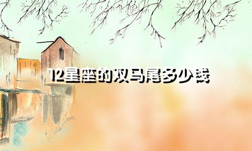 12星座的双马尾多少钱