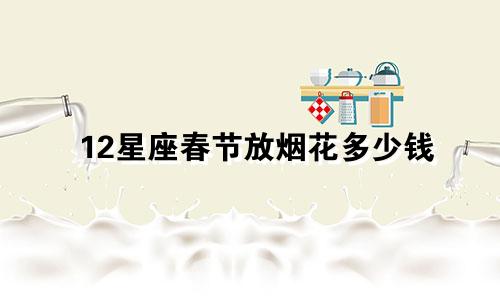 12星座春节放烟花多少钱