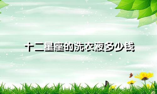 十二星座的洗衣液多少钱