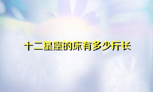 十二星座的床有多少斤长